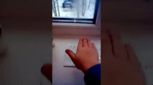 Как вызвать деда мороза