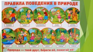 Правила безопасного поведения в летний период