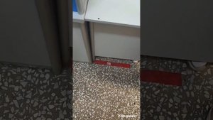 Бесплатная медицина?! Город Янаул республика Башкортостан.