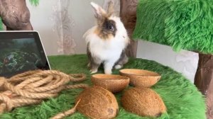 секретная комната баффи 🐰🫰🩵🩷