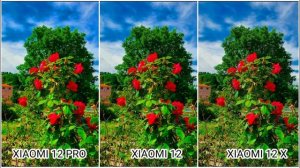 Xiaomi Mi 12 Pro vs Xiaomi Mi 12 vs Xiaomi Mi 12 X Camera Test