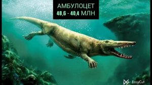 эволюция китов