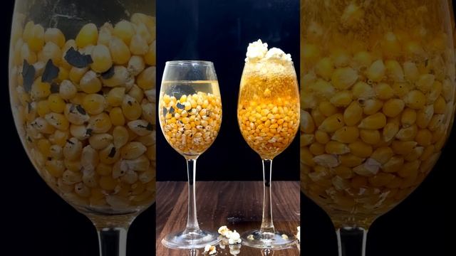 1000°C RHCB vs Corn+ Water & Corn + Oil💧🌽😱#satisfyingvideo #asmr #experiment #science