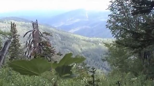 Мелис Нукси Көтерейік кәне достар қазақша ән