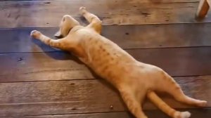 А мне все пофиг