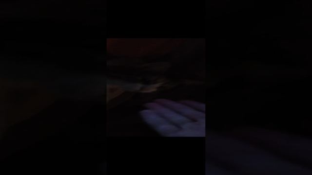 пошли Куся в бассейн