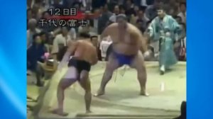 Два самых толстых борца сумо в мире