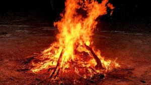 12485501_3840_2160_30fps