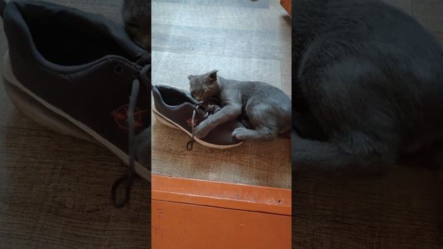 Размер не подошёл, а качество ничего!
