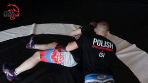 Перевод в партер для ММА