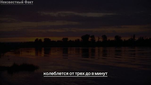 Психологические факты о человеческом поведении, которые поразят вас