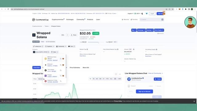 How To Add Solana To Metamask (EASY!)