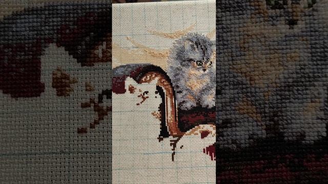 Кошачье семейство от Риолис. #вышивка #риолис #вышивка_крестиком #вышивка_крестиком_хобби смотреть онлайн