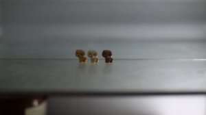 Барби и собака с новорожденными щенками: как они рождаются?