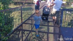 Отпуск Август 2022 (Армавир - Крым)