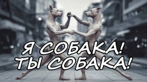 Я СОБАКА! ТЫ СОБАКА! Dj Progrev Авторская песня