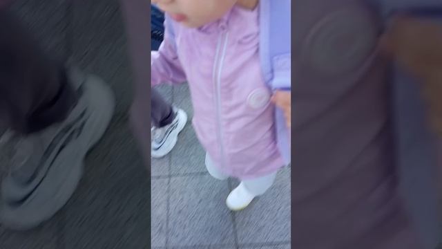 влог с поезда