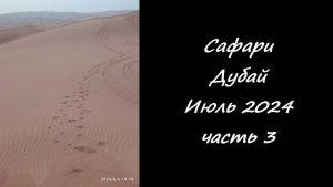 Сафари. Дубай. Июль 2024