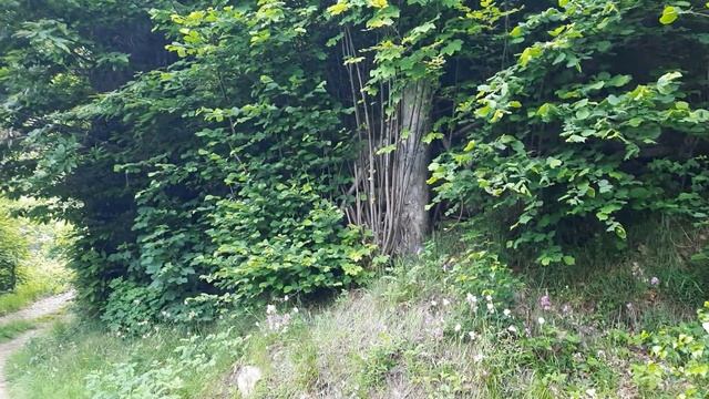 То что человек называет Домами-Это  Не Дома и не дляЛюдей. Скобы и Детали с Жижевой паутиной в гора