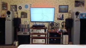 Ноэма 100 гдш 65-8 в корпусе от KEF Q1.