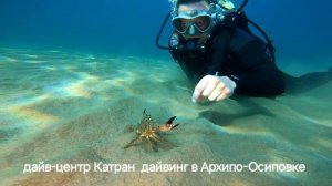 дайвинг в Архипо-Осиповке дайв-центр Катран.m p4