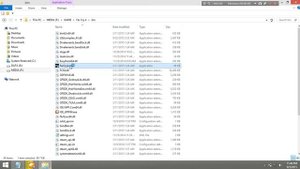 Fatal Error Far cry4