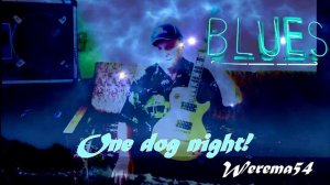 One dog  night Werema54