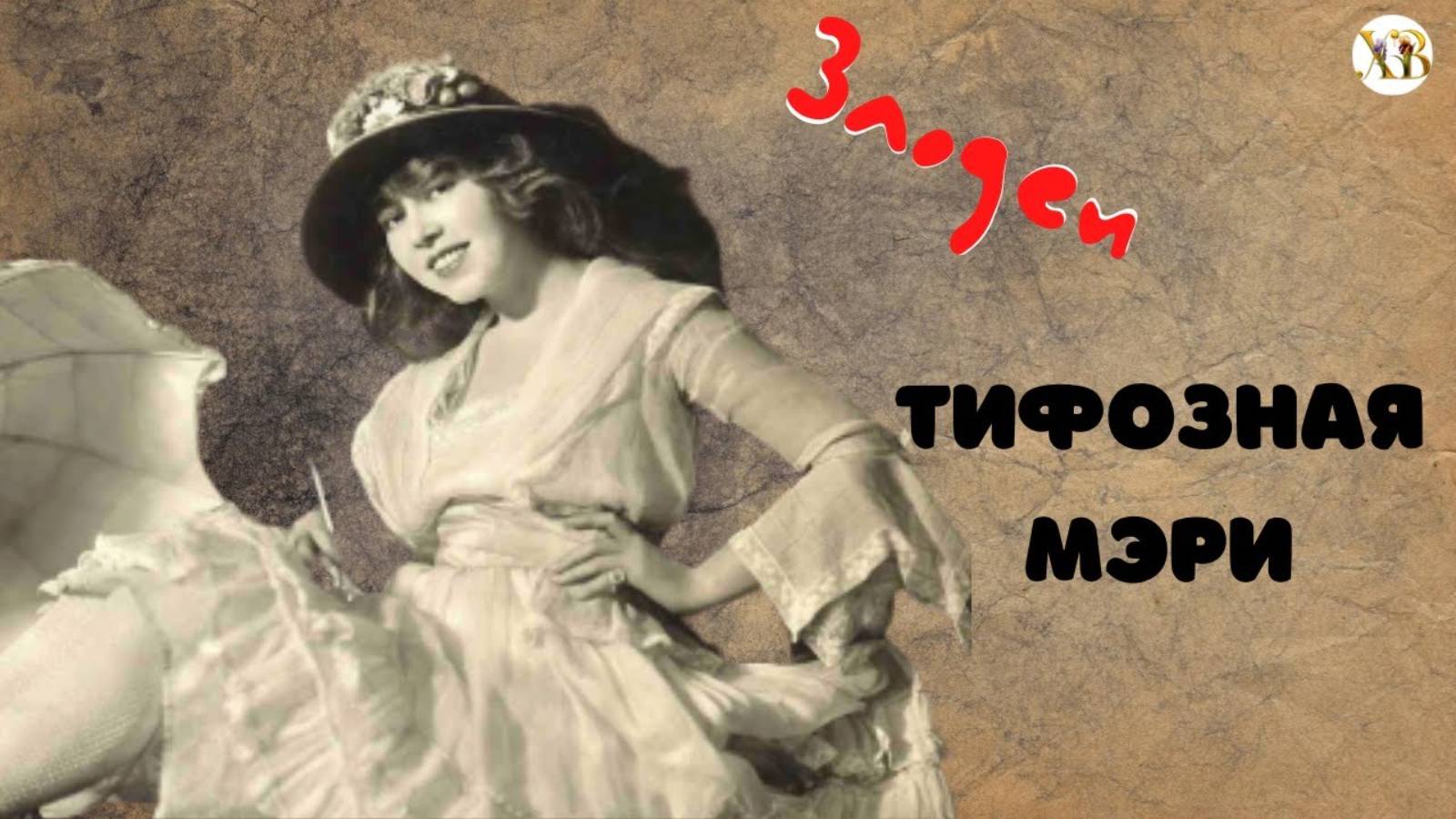 Злодеи: Тифозная Мэри.История кухарки приносящей смерть.