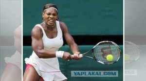 Серена Уильямс призналась в употреблении запрещенных препаратов| TVRu