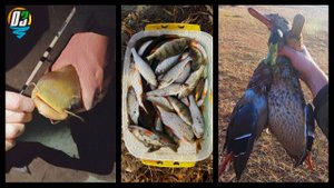 Охота и рыбалка. Отдых с друзьями. Конец сентября 2024 г.