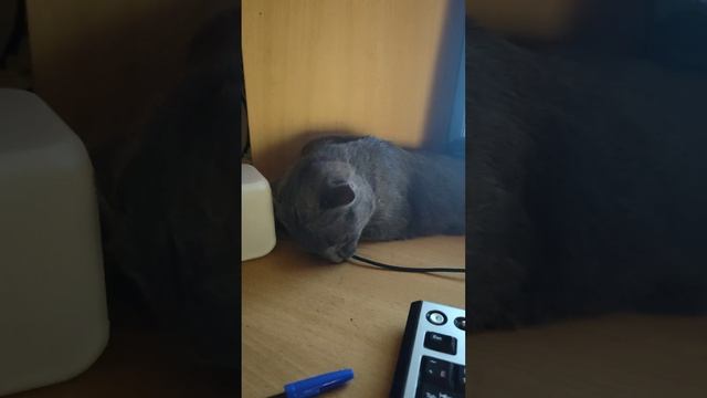 ❗❗❗И снова работа. Надо что-то делать