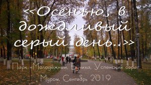 "Осенью, в дождливый серый день", Парк "Молодёжный", Успенский овраг в Муроме, сентябрт 2019