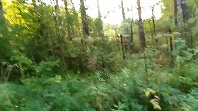 Дорога в пионерское детство.