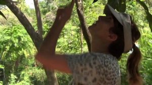 Get Involved A1 PLUS Unit 4 Vocabulary video