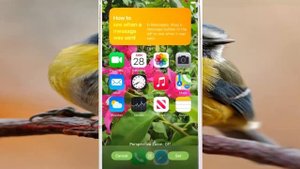 iPhone 7 : How to use perspective zoom feature for your wallpaper