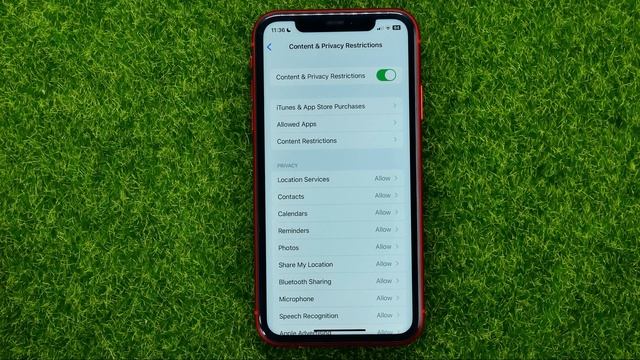 How to Disable Screen Recording on Your iPhone