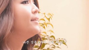 Infinity of Sound - Dolphins (끝없이 소리 - 돌고래)