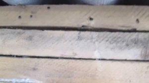 Неомид 100   Антижук