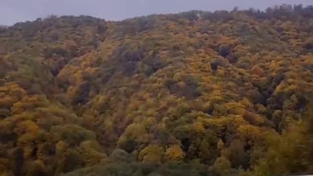 Нальчик 2024 смотреть онлайн