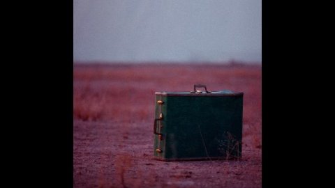 Soft Analog - Biz Gibiler