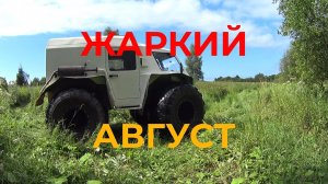 На Вездеходе Белый Лис Катаюсь По Полям Жарким Августовским Деньком.