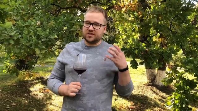 Сент-Эмильон Гран Крю от Жан Вуазен. Новинка из Бордо! смотреть онлайн