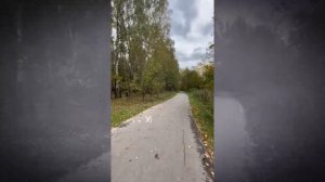 Битцевский лесопарк.