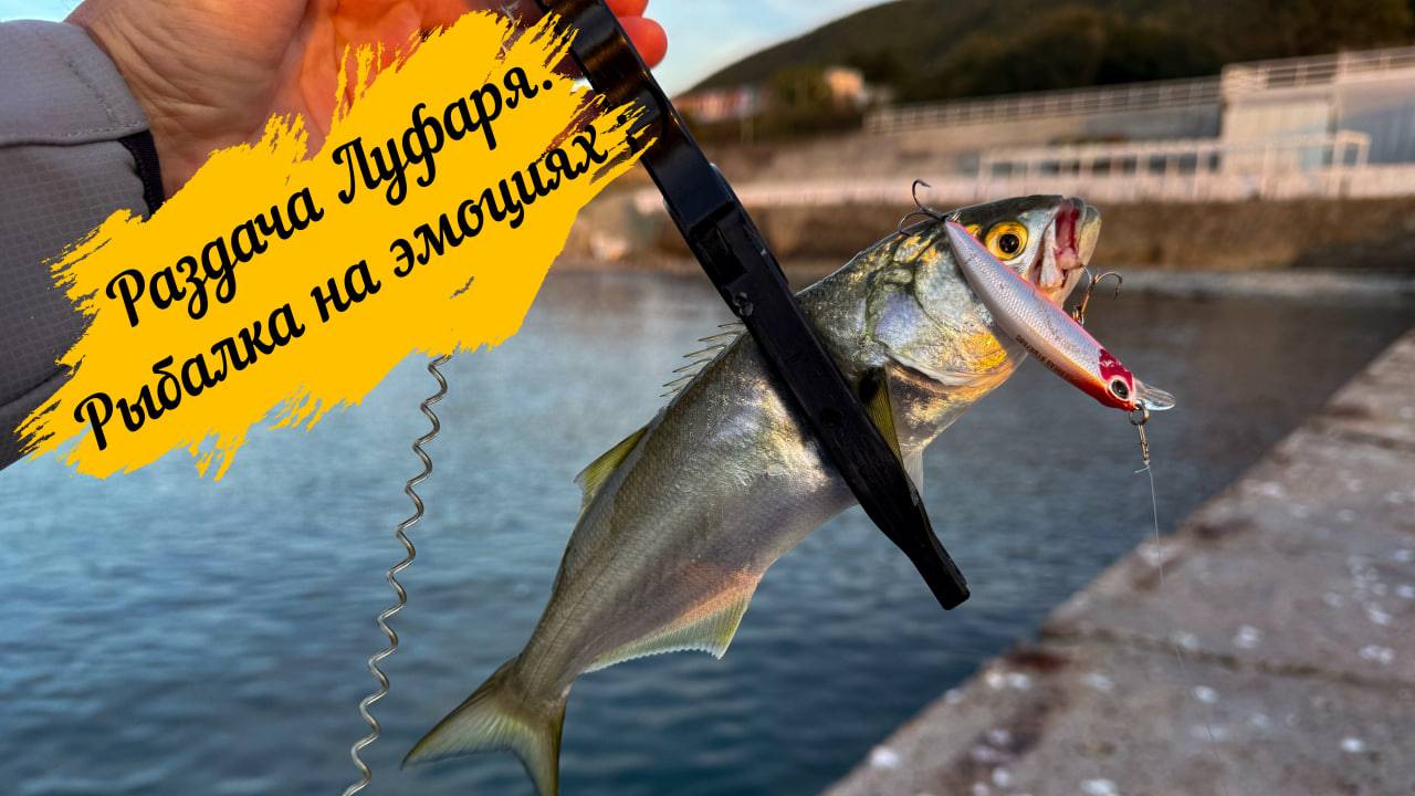 Раздача Луфаря. Рыбалка на эмоциях ;)