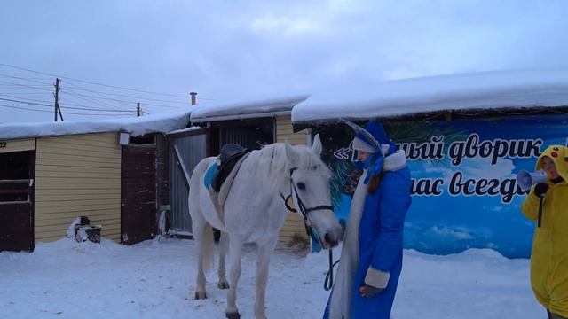 Настя с Викой на КОННОМ ДВОРЕ Катаемся на ЛОШАДКАХ и танцуем с ДЕДОМ МОРОЗОМ Nastya life VLOG 0+