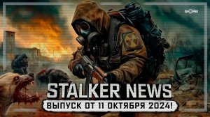 STALKER NEWS (Выпуск от 11.10.2024)