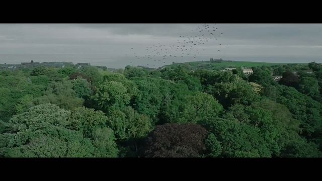 🧛♂️✨ Встречайте "Вампиры лёгкого поведения" - новый комедийный хоррор 2024 от Эроса Лина!