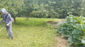 Efco spark26-(oleomac sparta250T)