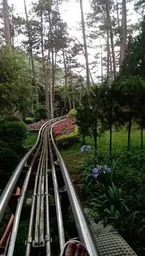 Вьетнам. Май 2024. Спуск на санках к водопаду.