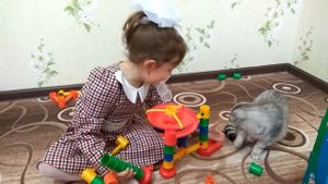 Открываем КОНСТРУКТОР BAUER Веселые Горки! | VilliBoom Kids